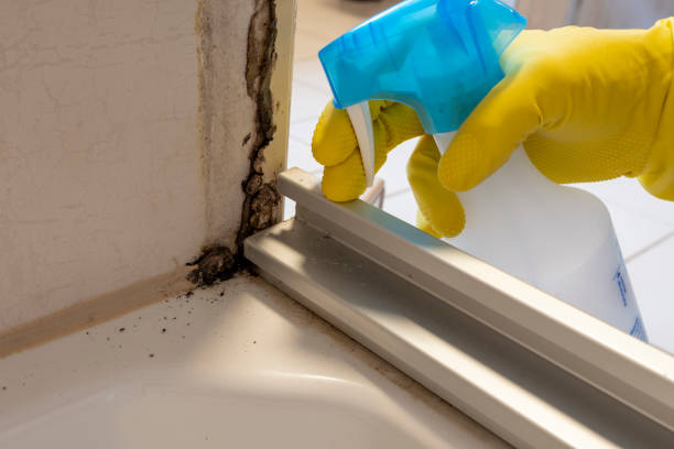 Best Residential Mold Removal  in Martinsburg, PA