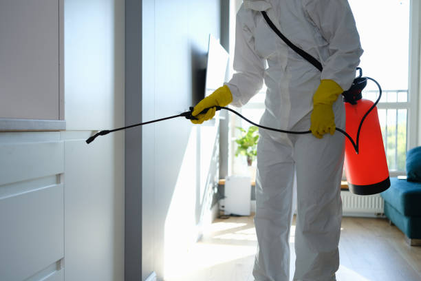 Reliable Martinsburg, PA Mold Removal Solutions