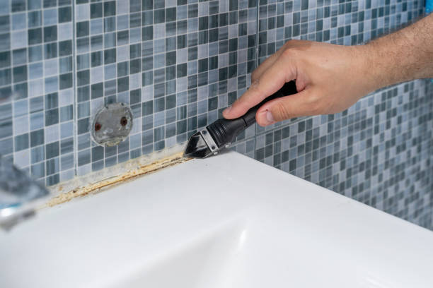 Best Attic Mold Removal  in Martinsburg, PA