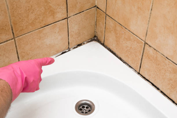 Best Fast Mold Removal  in Martinsburg, PA
